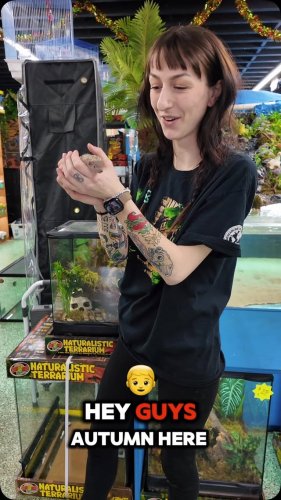 Video post from njexoticpets.