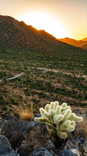 Video post from visittucson.