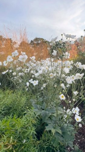 Video post from sussexprairies.
