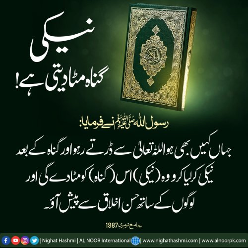 Photo post from nighathashmi.