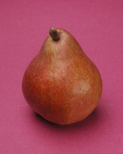 Photo post from farmbox_arizona.