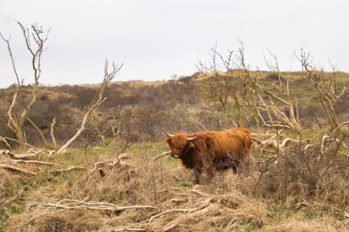 Photo post from ditiskatwijk.