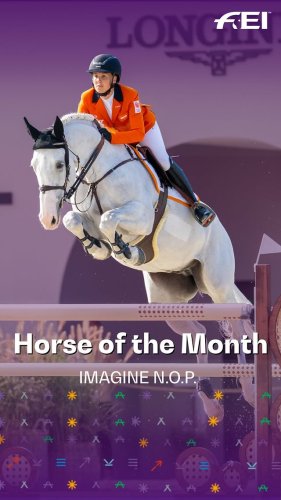 Video post from fei_global.