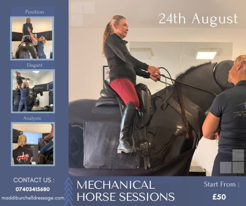 Photo post from mbddressage.