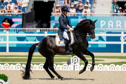 Photo post from fei_global.