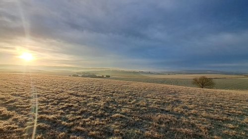 Photo post from crowmarshbattlefarms.