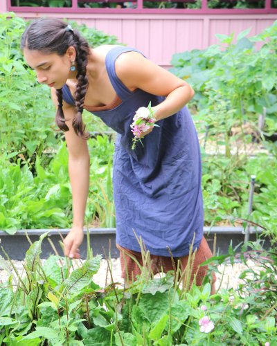 Carousel post from currumbinvalleyharvest.