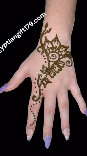 Video post from egyptian_henna_tattoos_florida.