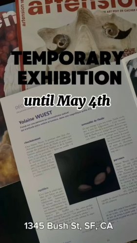 Video post from afsanfrancisco.