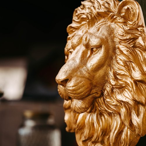 Carousel post from freizeitanlage.