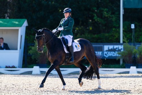 Photo post from fei_global.