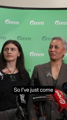 Video post from nzgreenparty.