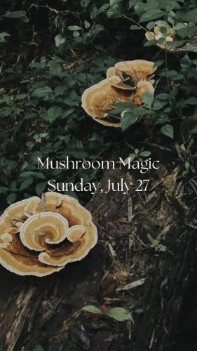 Video post from reachyoga_sd.