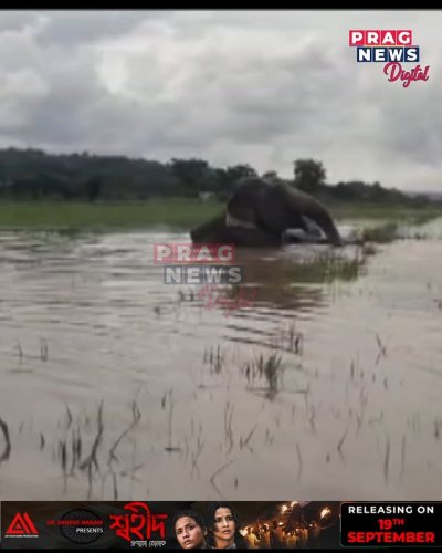 Video post from pragnewsofficial.