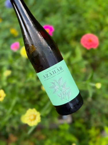 Photo post from dandywineshop.
