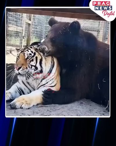 Video post from pragnewsofficial.