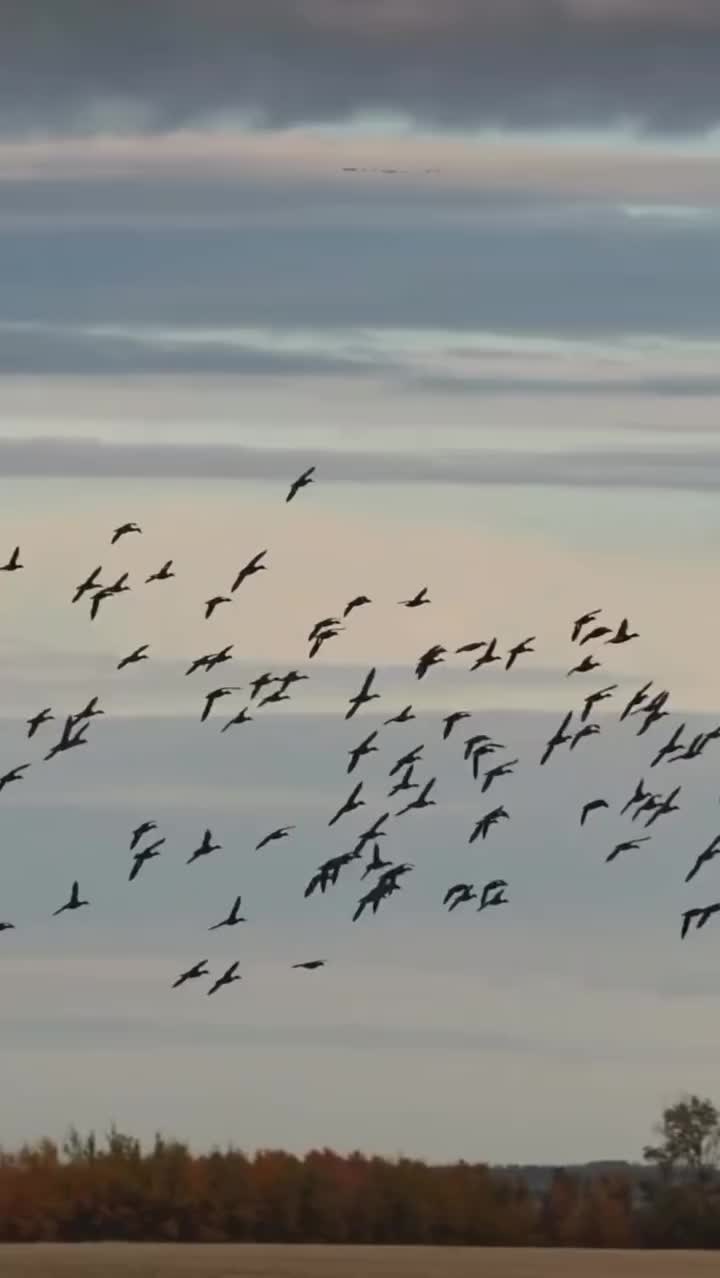 Video post from northernskiesoutfitters.