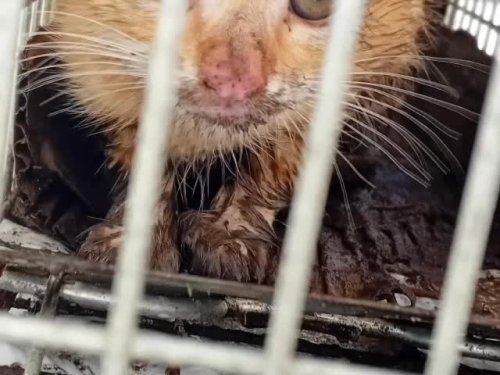 Video post from ellacuriazurbaranbhi.