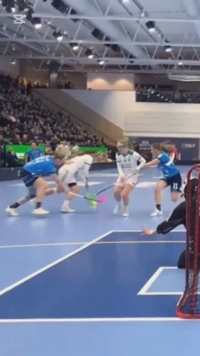 Video post from kauppitwins.