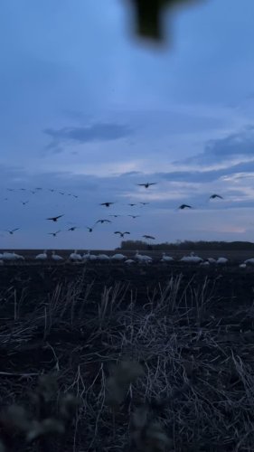 Video post from northernskiesoutfitters.