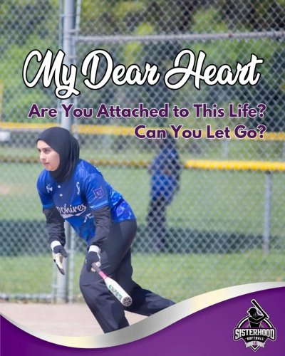 Carousel post from sisterhoodsoftball.