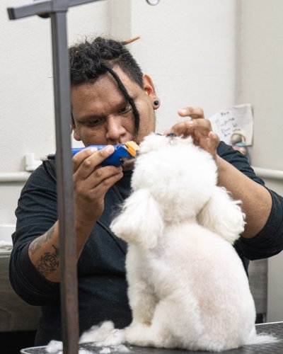 Photo post from medicalpettj.