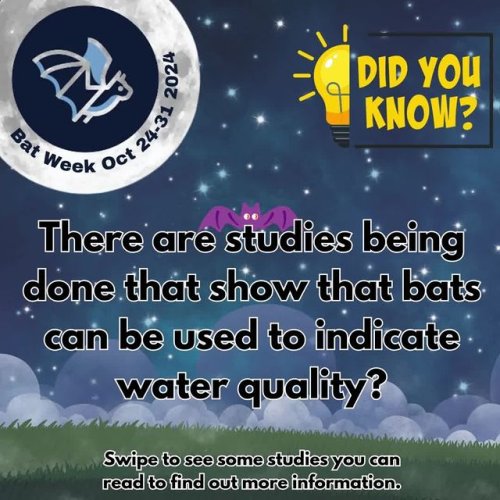 Video post from townofcarrborostormwater.
