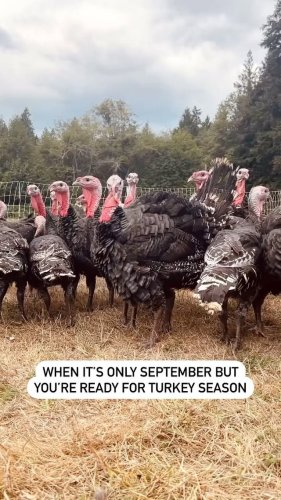 Video post from hungryhollowfarm.