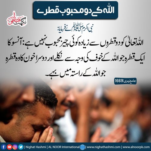Photo post from nighathashmi.
