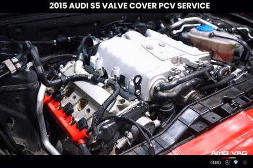 Video post from ambvag.