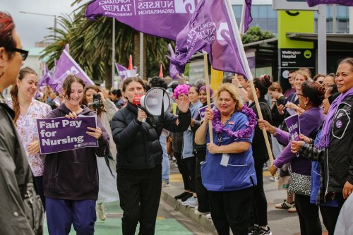 Carousel post from nzgreenparty.