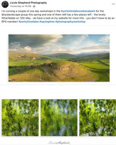 Photo post from rpslandscape.