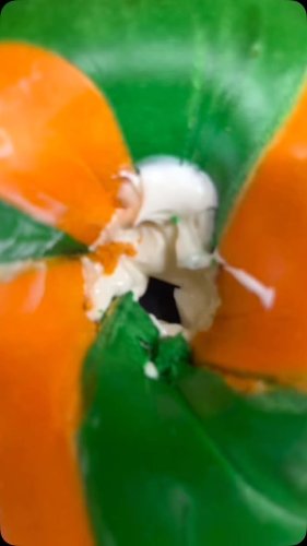 Video post from njexoticpets.
