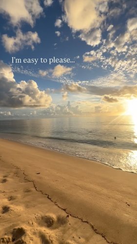 Video post from octopusresort.
