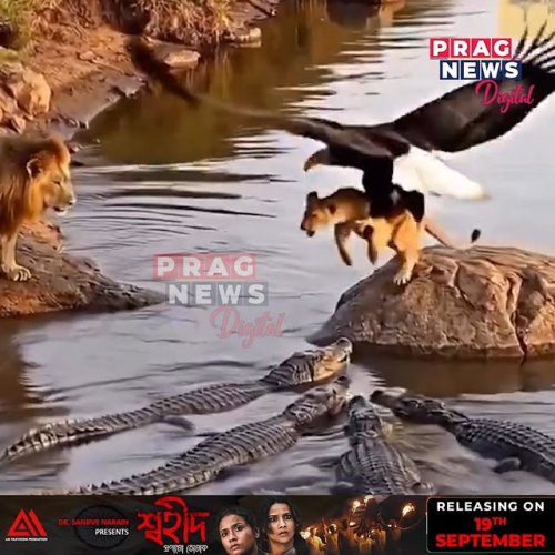 Video post from pragnewsofficial.