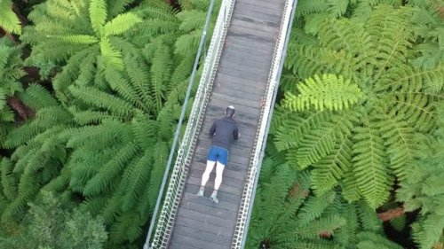 Video post from trinitycollegecolac.