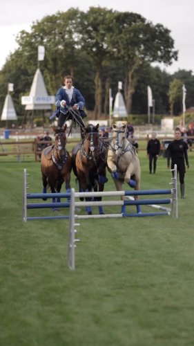 Video post from fei_global.