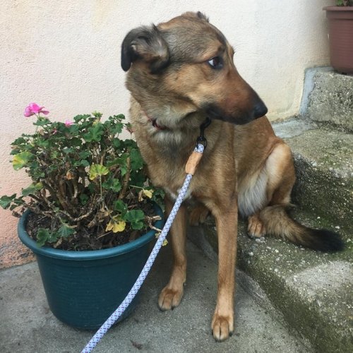 Carousel post from clinica_veterinaria_dourosul.