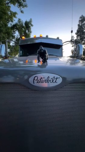 Video post from _satrucker_.