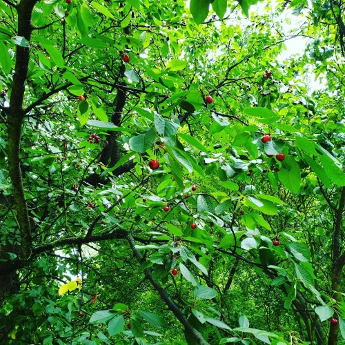 Photo post from peri.renata.glinkowska.