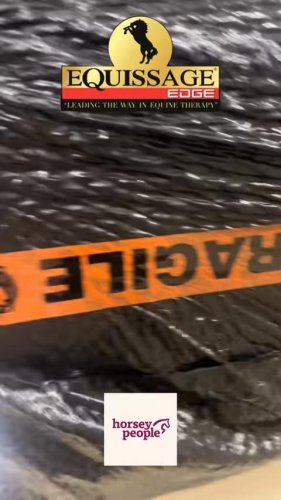 Video post from lady_lucinda_casey.billington.