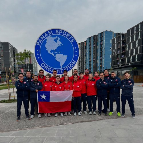 Photo post from pelotavascachile.