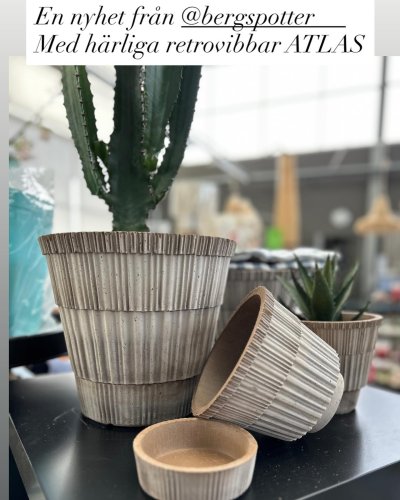 Photo post from blomsterborsen.