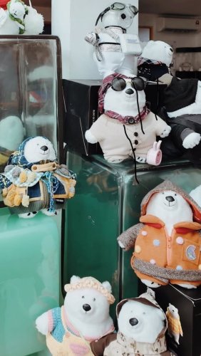 Video post from universaltraveller_my.