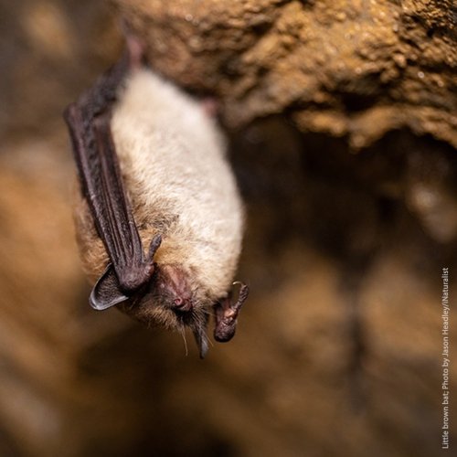 Photo post from ncc_cnc.