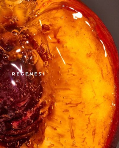 Photo post from regenesi.