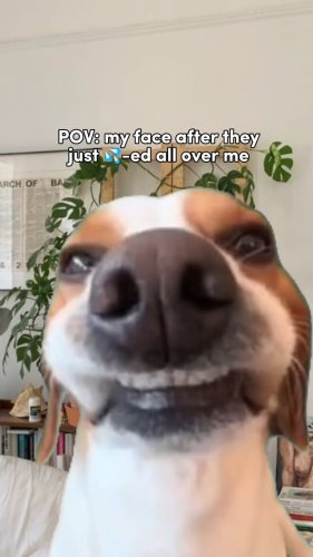 Video post from lovehoneyofficial.