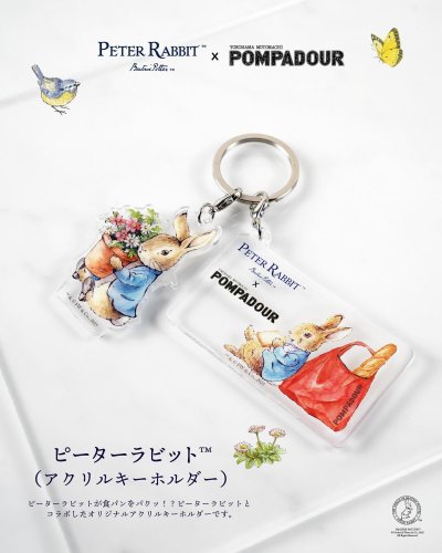 期間限定9000⇒8000 キャンペーンシール ピーターラビット全4種 期間限定9000⇒8000 キャンペーンシール ピーターラビット全4種