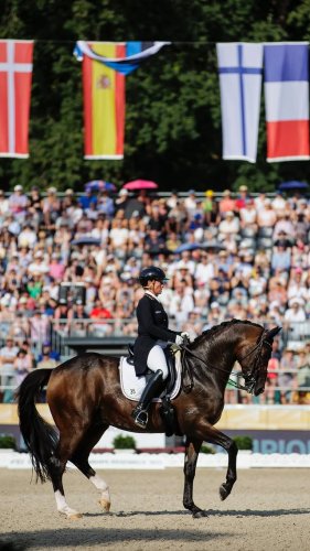 Video post from fei_global.