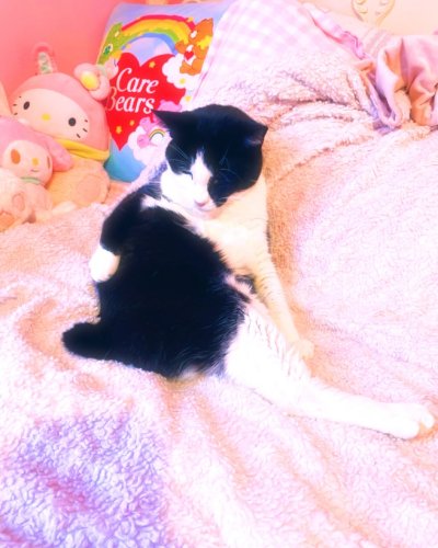 Carousel post from margaritabloom.